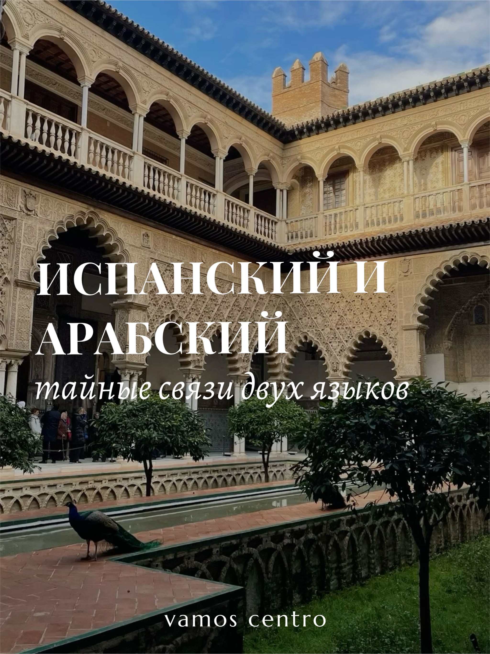 Испанский и арабский: тайные связи двух языков связь между испанским и арабским
